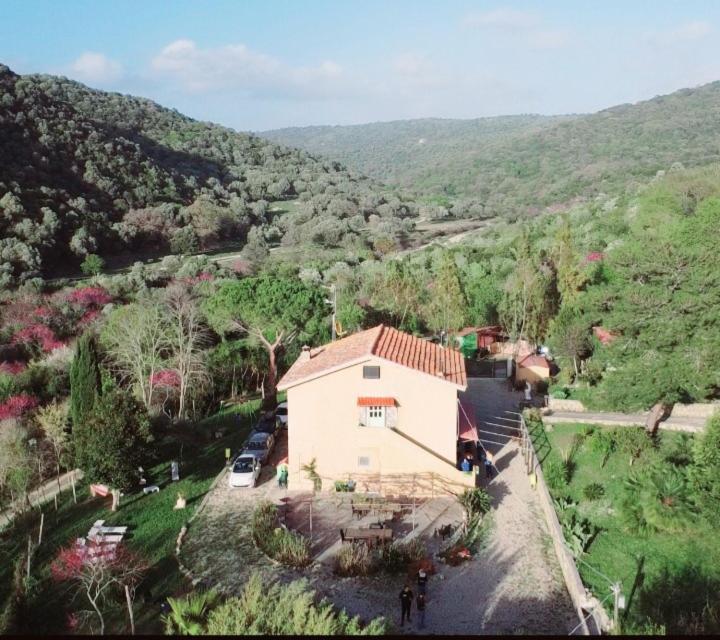 Dimora Il Camaleonte Apartments In Nature With Pool Civitavecchia Exterior photo